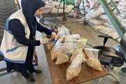 تولید خورام دام سالم و بهداشتی تحت نظارت های مستمر دامپزشکی در شهرستان درگز